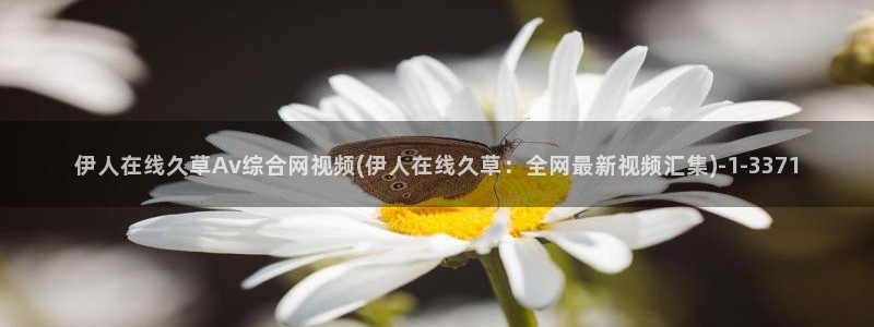 久久伊人香蕉网视频：伊人在线久草Av综合网视频(伊人在线久草：全网最新视频汇集)