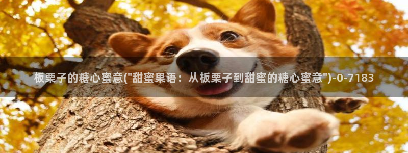 糖心vlog传媒网址