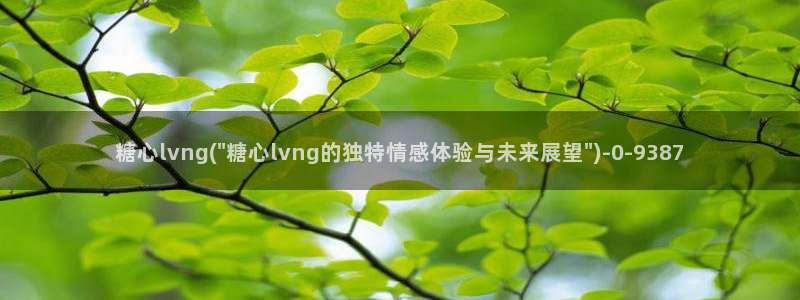 心糖vlog原创