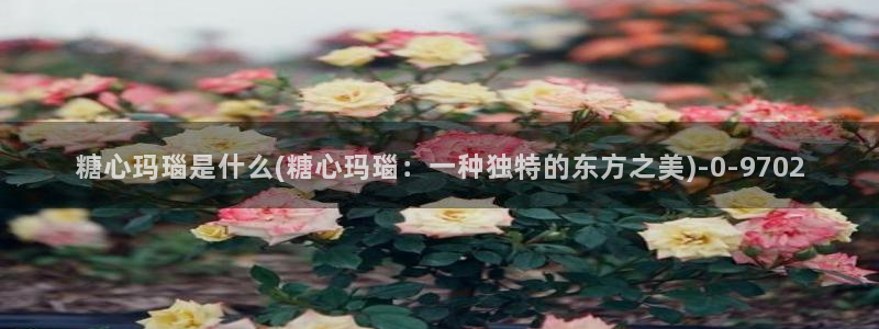 糖心vlog是干嘛的